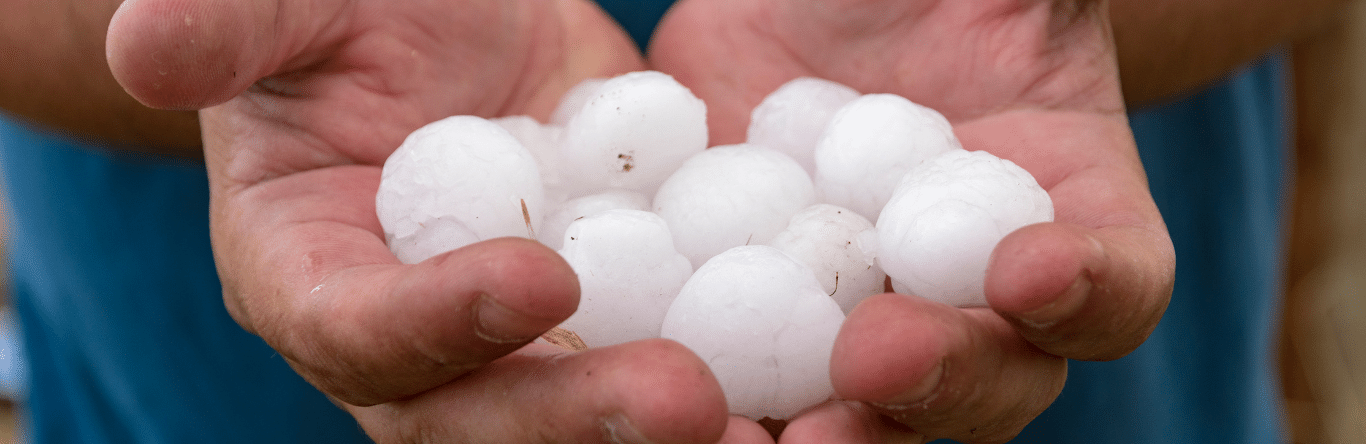 ¿Cómo afecta el granizo al sector agrícola?