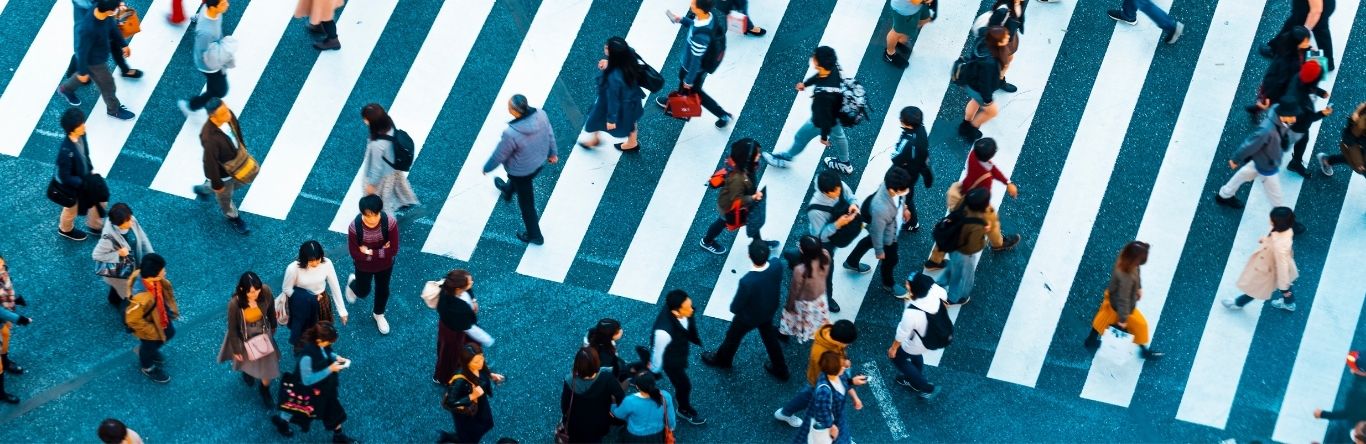 Urbanidad y tejido social