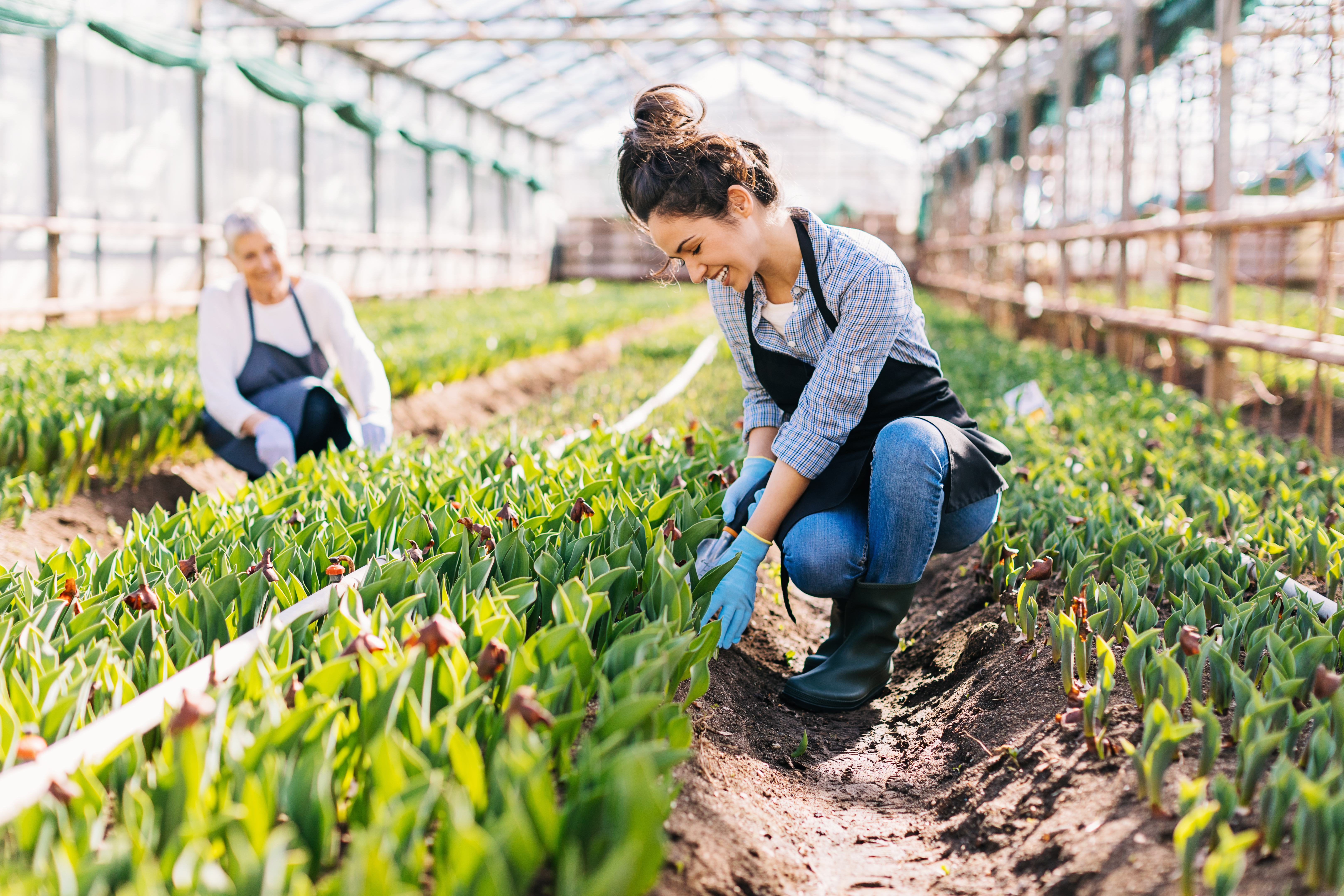 Agricultura 4.0