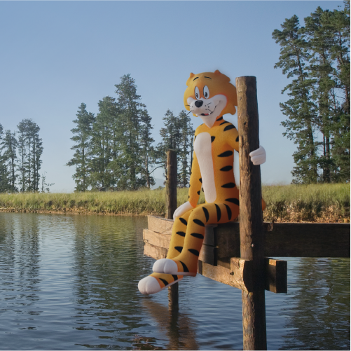 Portada_tigre_1