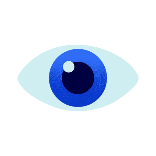 Observar
